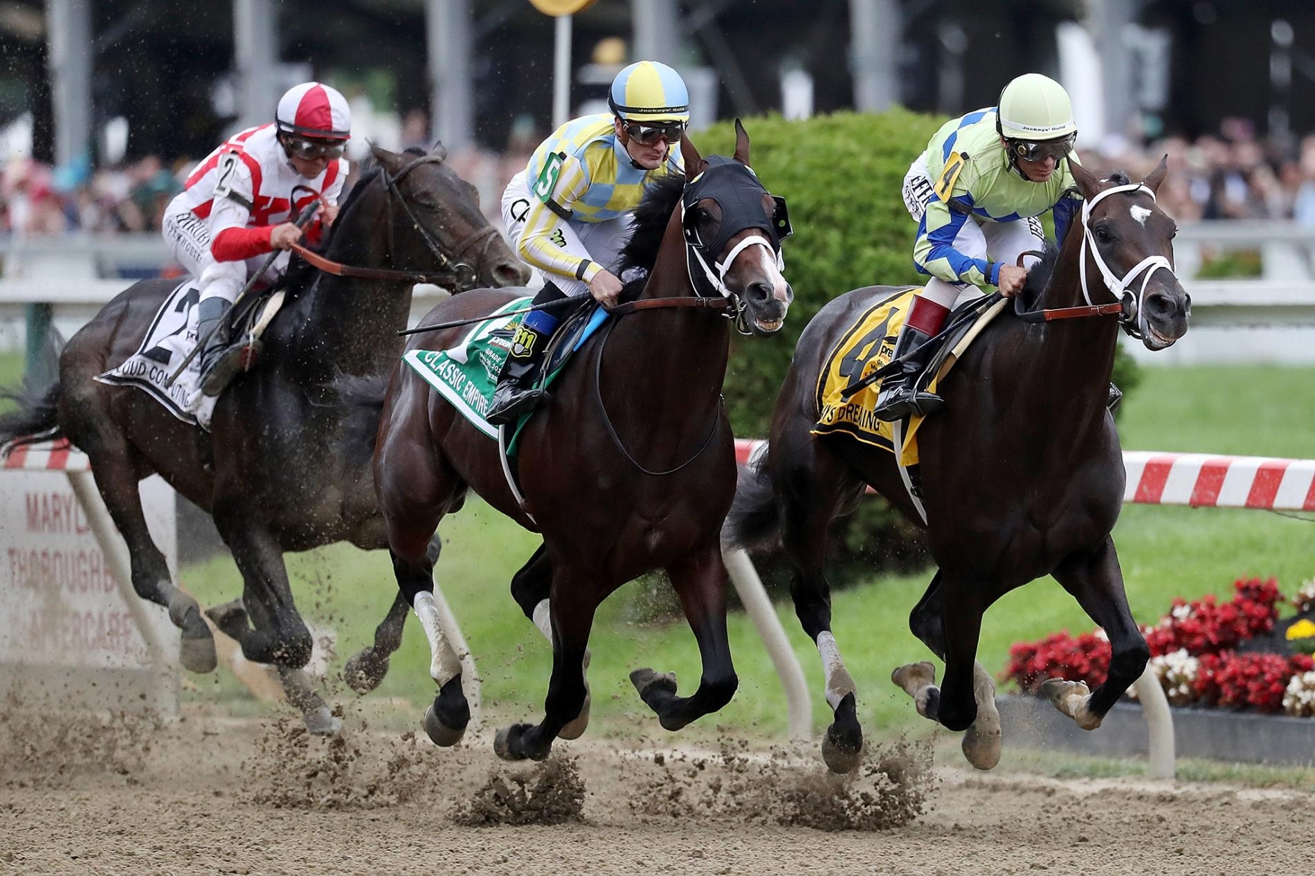 掌握賽馬數據分析，提升下注勝率｜T9娛樂城